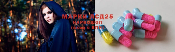 Альфа ПВП Горно-Алтайск