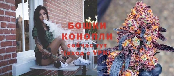 Альфа ПВП Горно-Алтайск