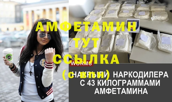 Альфа ПВП Горно-Алтайск