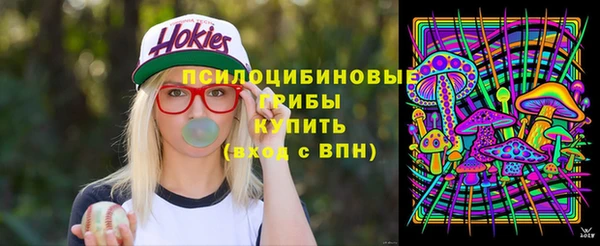 Альфа ПВП Горно-Алтайск