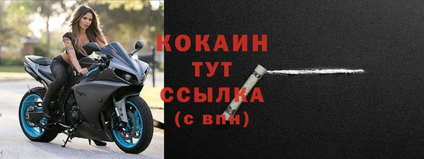 индика Вяземский